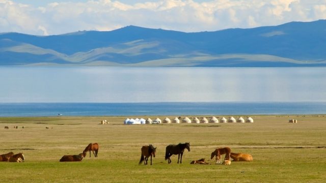 Kirguistán. Vista de la vida nómada junto al lago con caballos y yurtas en Kirguistan