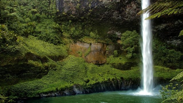 Nueva Zelanda. Bridal Veil Falls (Catarata del velo de novia) es una cascada situada a lo largo del río Pakoka en el área de Waikato en Nueva Zelanda. La cascada tiene una altura de 55 m.